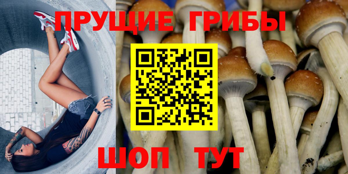 как найти   Вход с VPN  Вологда  Псилоцибиновые грибы ЛСД 
